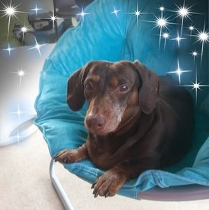 Meet your Posher, Louise